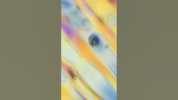 Melting ice under polarized light microscope 400x 1000x HD