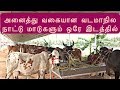 Top 4 milking cows in Tamilnadu | அதிக பால் தரக்கூடிய வடமாநில மாடுகள்