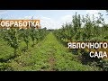 Фермер Василе Берзой. Обработка яблоневого сада от заболеваний и вредителей