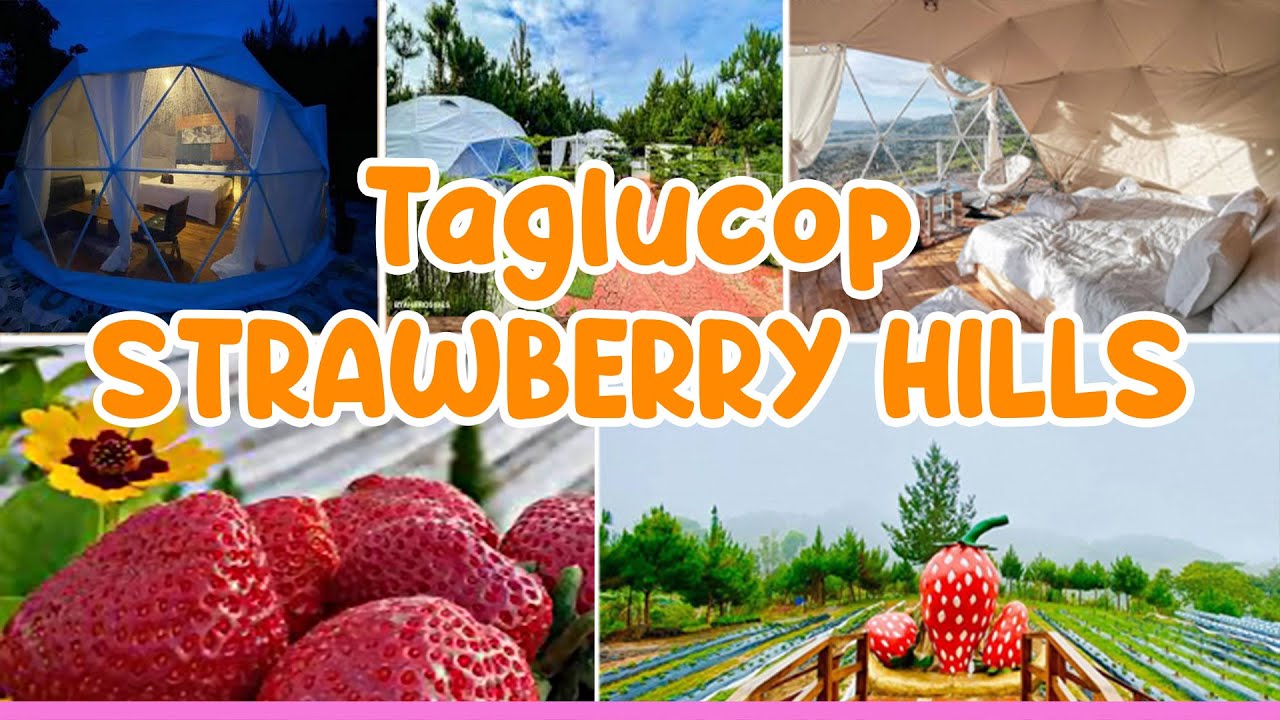ENJOY DIFFERENT KIND OF GLAMPING | TAGLUCOP STRAWBERRY HILLS