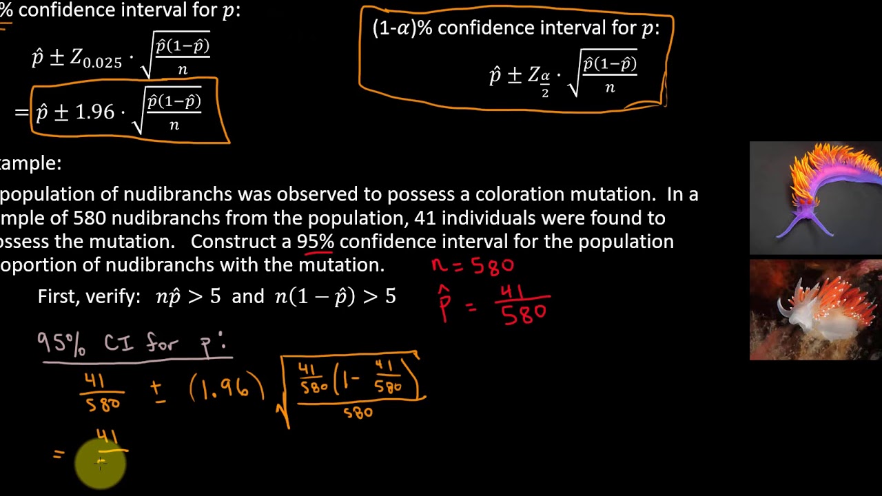 Confidence Interval and Hypothesis Test for a Population Proportion ...