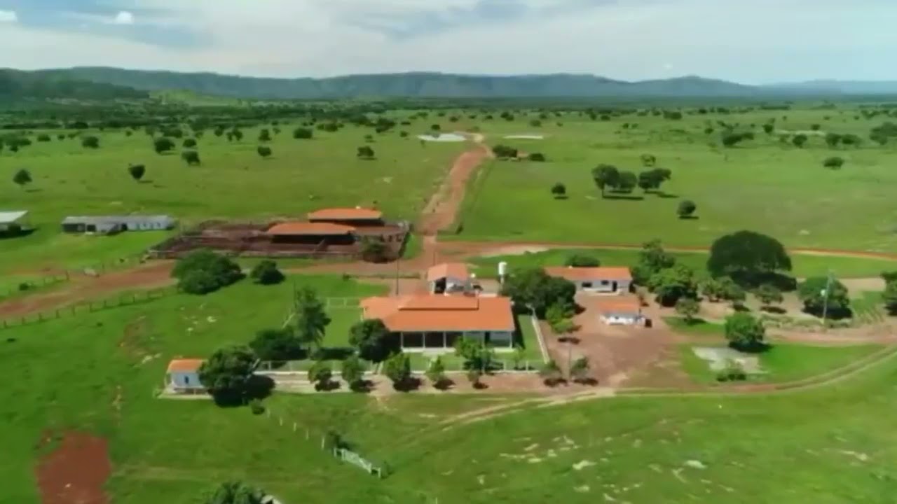 Em Ou No Goias