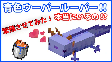 تحميل マイクラウーパールーパーコマンド تحميل マイクラウーパールーパーコマンド