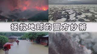 【Life Wisdom】20210804 - Curbing Our Desires for a Peaceful World
