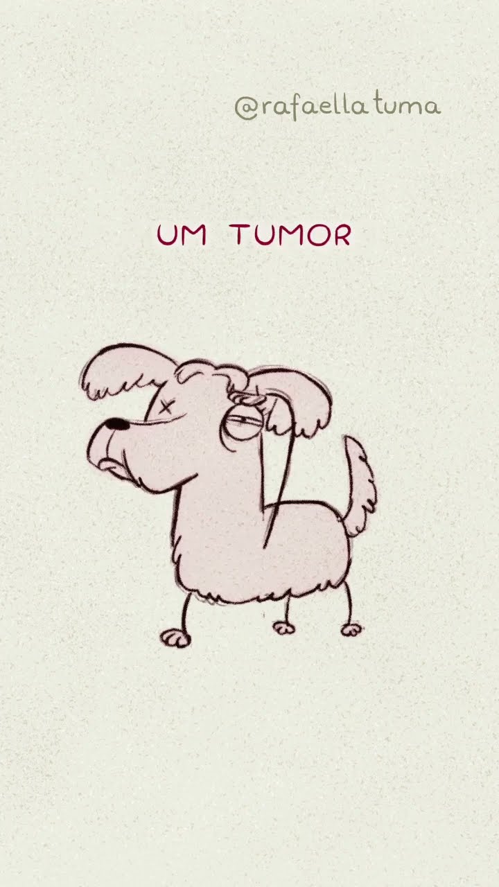 Mulher, vá se deitar! créditos: @RafaellaTuma ?Áudio: @whindersson Adoção: @sos4patas.pr