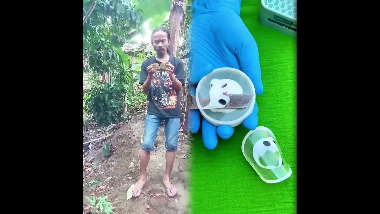 #pov #foryou #storytime #fyp #jojobulele #fyp #komedi