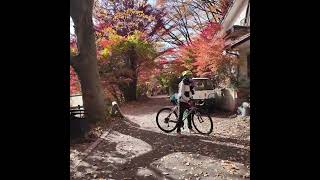Autumn Mountain Views: Peaceful Town Nature Walk! #shorts