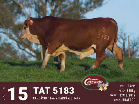 LOTE 15 - TAT 5183