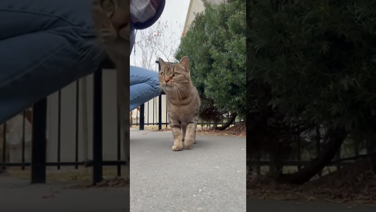 Not sure what held my attention here.
#quietmoments #everydayscene #slowobservation #urbanstill