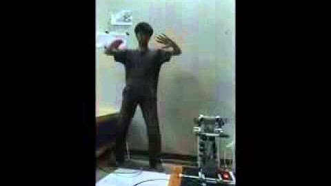 Imitabot - Whole Body Imitation