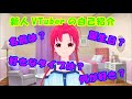 新人VTuberの自己紹介~初めまして?ばんびです~
