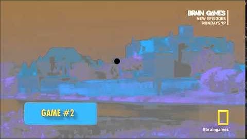 Brain Games- Complimentary Afterimage