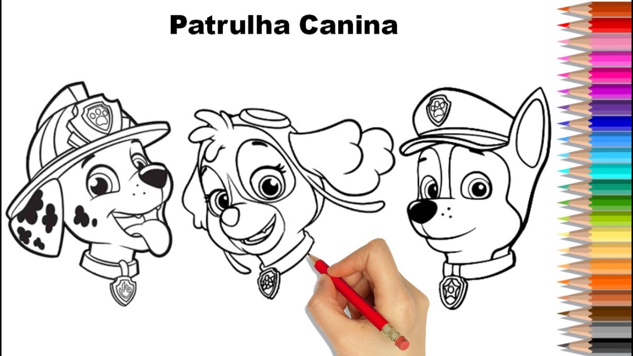 Desenhos de Zuma de Patrulha Canina para Colorir e Imprimir - ColorirOnline .Com