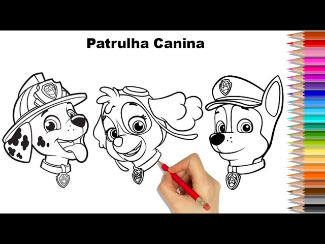 DESENHO DA PATRULHA CANINA CHASE PAW PATROL COLORIR ONLINE CLASSES CARTOON  Nick Jr cor para criança 