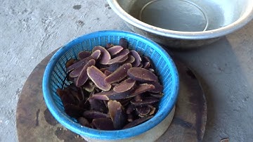 IU MIEN - THÁI NẤM NGỌC CẨU NGÂM RƯỢU