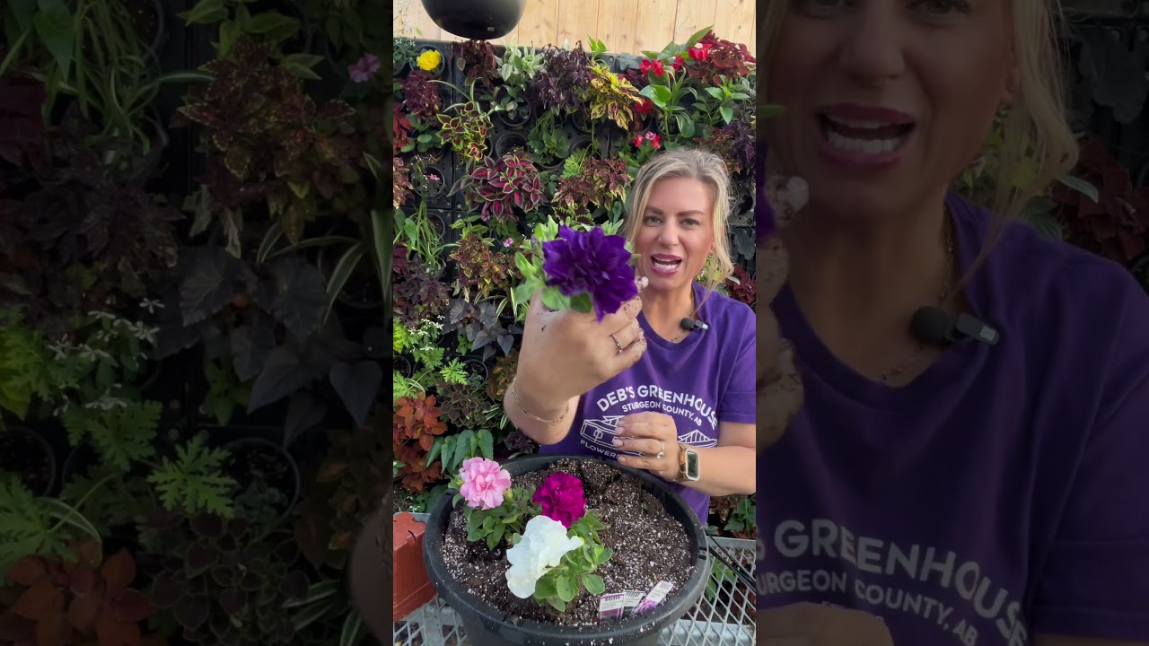 Update on Deb&rsquo;s Double Petunia Basket