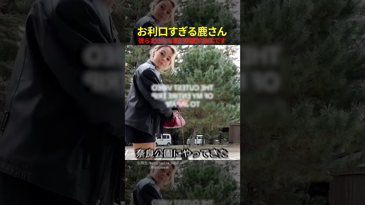 お利口すぎる鹿さん