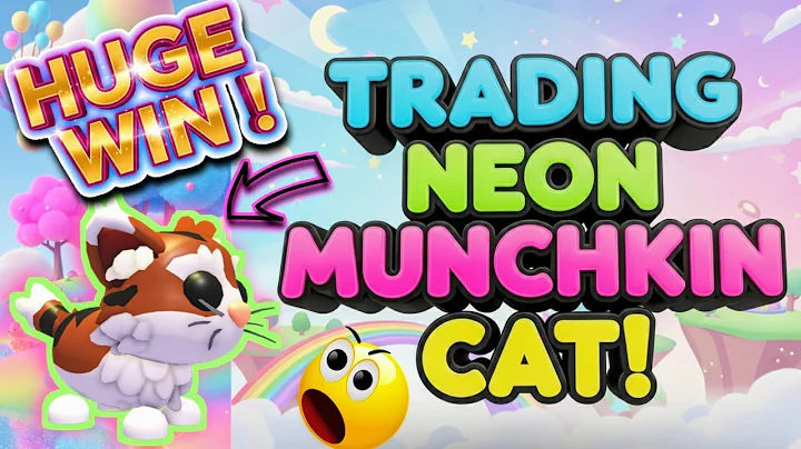 Video 10725931: munchkin cat pet, adopt munchkin, rare cat