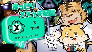 【スプラトゥーン3】明日のフェスに向けて練習Xマッチ！【蜜虎/獣VTuber】
