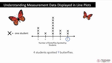 Understanding Measurement Data Displayed in Line Plots: 2.MD.9