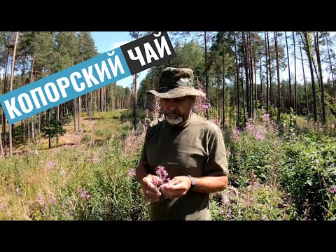 Иван-чай - ответы