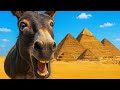 🏛️ Ancient Egypt's BIGGEST Prank EVER! Donkey Discovers the Pyramids Secret | Funny History