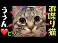 「うぅん❤️」ママと会話キラキラお目目のピノちゃま😻