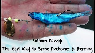 Salmon Candy: The Best Way to Brine Anchovies & Herring