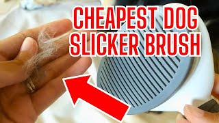 Is this SUPER Cheap Pet Slicker Brush Actually any Good? by OodleLife 68 views 1 month ago 1 minute, 37 seconds