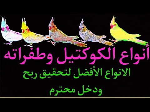 فيديو: أغلى أنواع الكوكتيلات في العالم