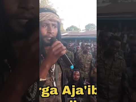 Dhaamsa Adda Bilisummaa Uummata Oromoo WBO 