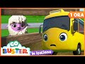 La Fuga Di Lettie La Pecora | | Go Buster in Italiano 🚌 - Cartoni animati per bambini in Italiano