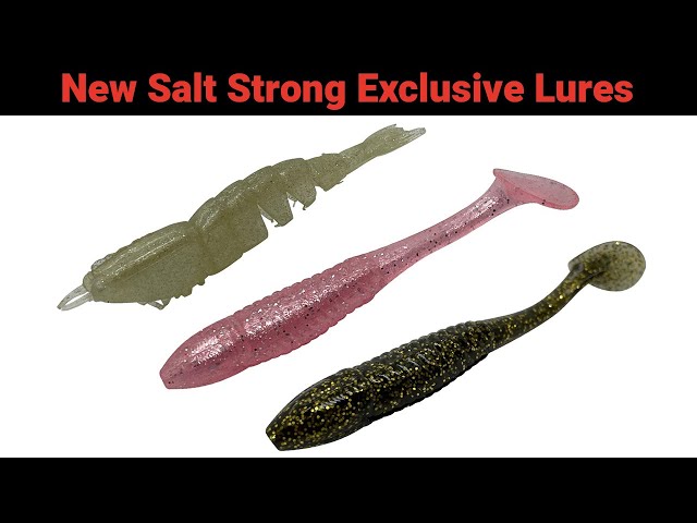 The 3 New Salt Strong Fishing Lures That Are Crushing Big Fish