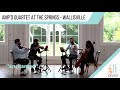 Enchanted by taylor swift ampd string quartet cover