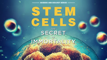 Stem Cells: The Secret To Immortality FULL DOCUMENTARY | Science Documentary | The Dock