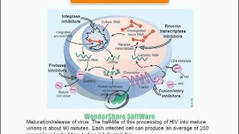 HIV/AIDS powerpoint presentation