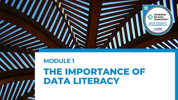 Data Literacy Fundamentals | The Importance of Data Literacy | Module 1