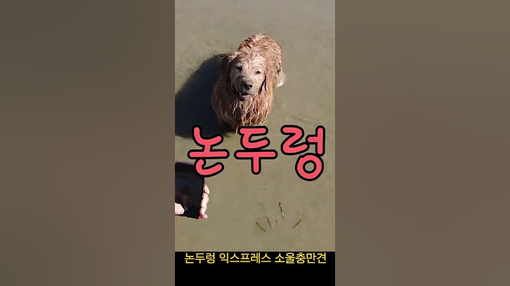 논두렁 익스프레스 소울충만견