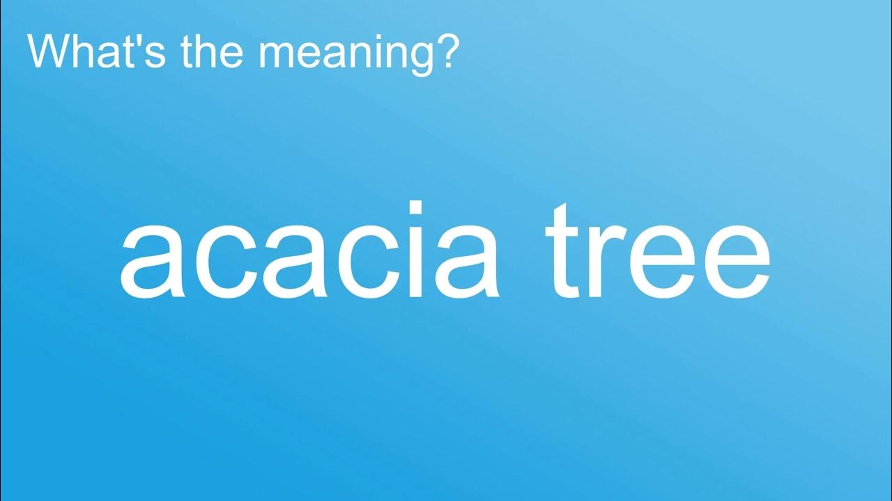 What's the meaning of "Acacia Tree", How to pronounce? meaning 