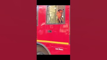 Msrtc 1st Bs6 Parivartan Arrival At Chandrapur Bus Stand: Incredible MSRTC #msrtcbs6bus