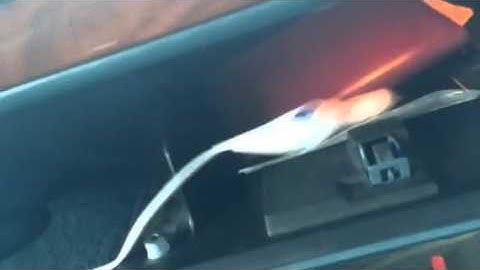 Program a Ford keyless entry remote part 1 of 2