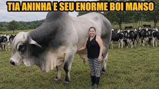 A ROTINA DA VAQUEIRA ANA DE GOIÁS 