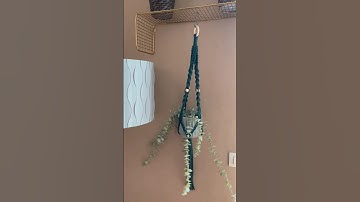 Macrame plant hanger #design #art #viralvideo #shortsfeed