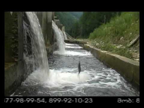 აკავრეთა 2007 - Akavreta 2007 - ქედის რაიონი