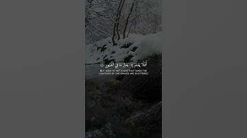 القارئ محمد أيوب - سورة العاديات 🌿
