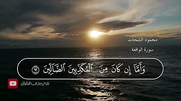 واما ان كان من المكذبين الضالين | سورة الواقعة | محمود الشحات بصوت اكثر من رائع