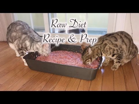 raw-cat-food-recipe