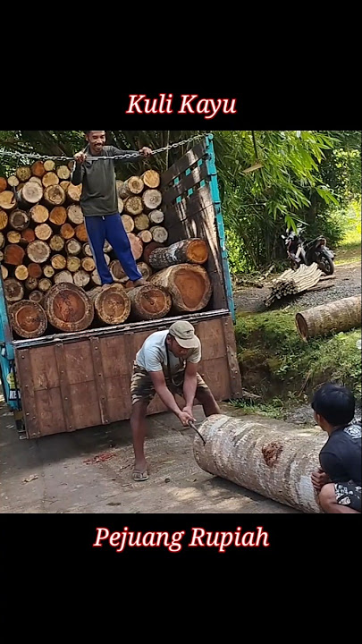 edisi kayu pendek tapi berat #kulikayu