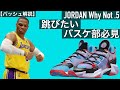 【高く飛びたい奴必見バッシュ】ジョーダン whynot.5を解説！【ワイノット】