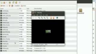 Minecraft Basics Installing A Custom Skin Single Player Windowslinux Ubuntu Gnome